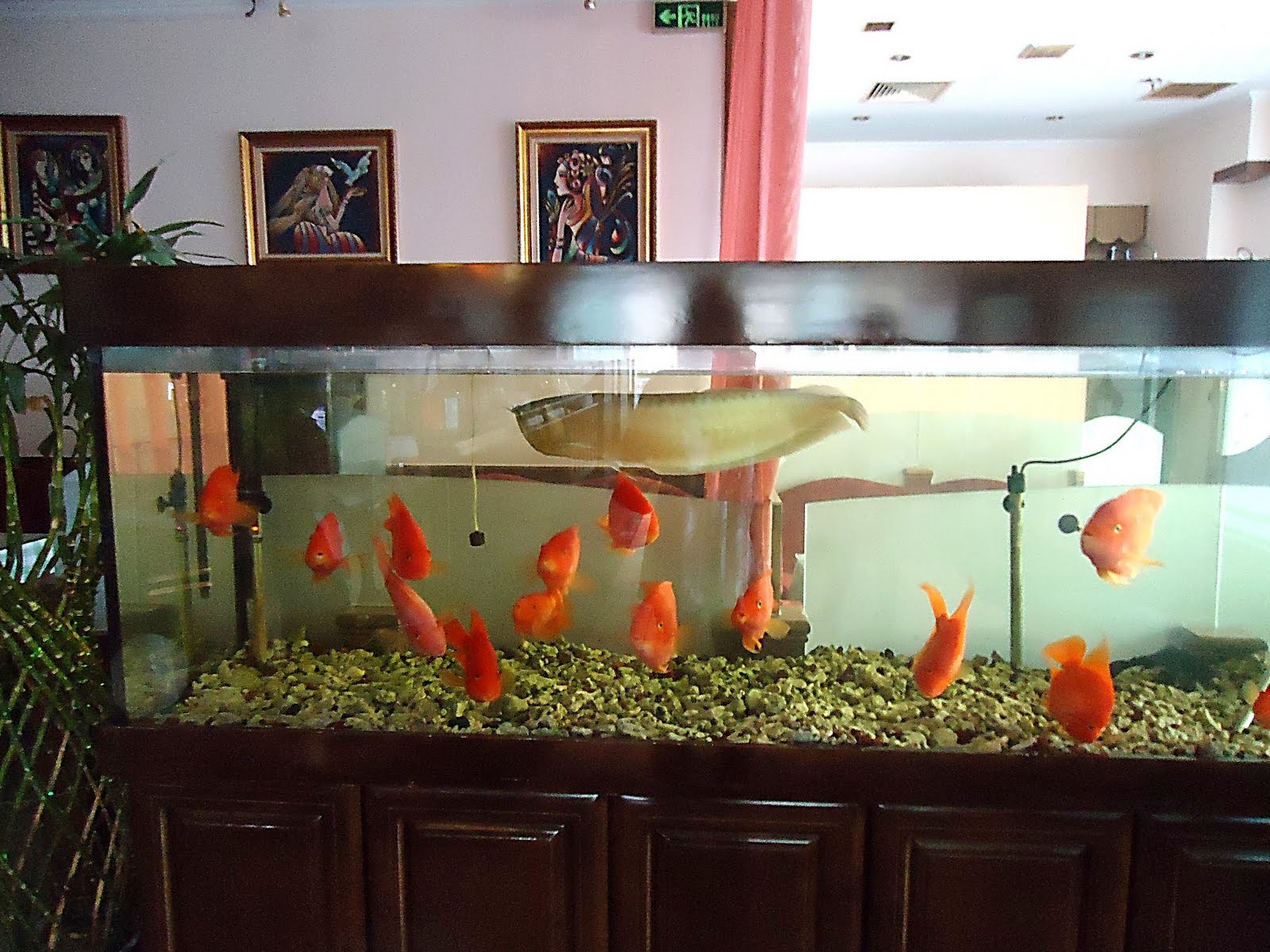 The Best of Binky's Johnny Weir Blog A Brief Conclusion to Our