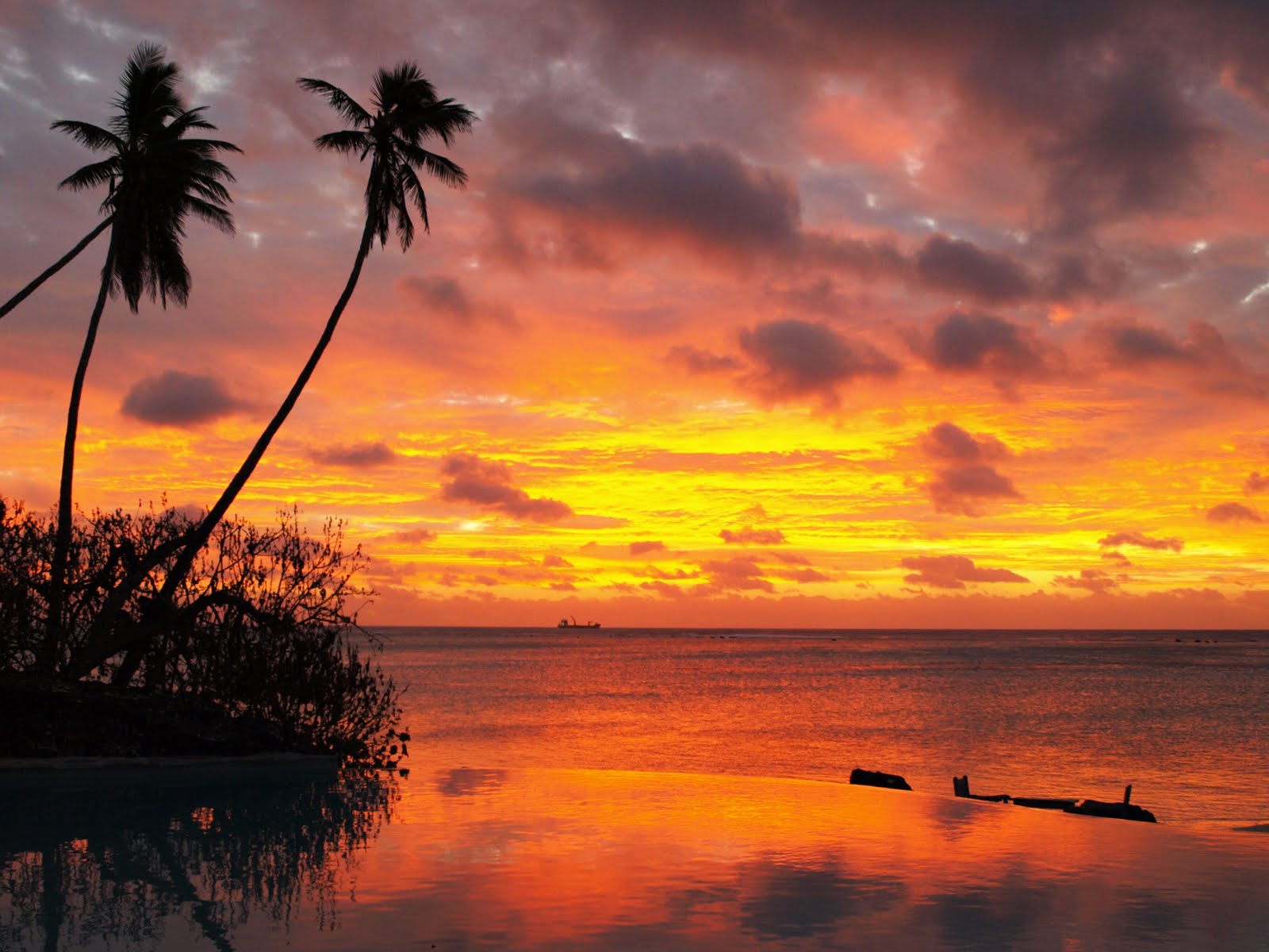 TravelSkite Coco loco