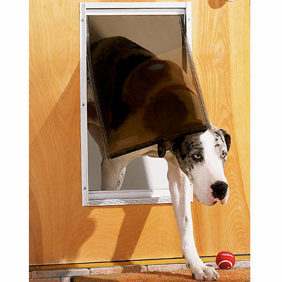 Pictures Of Dogs And All About Dog Dog Door Replacement Flaps