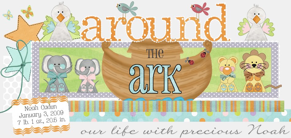 Around the Ark