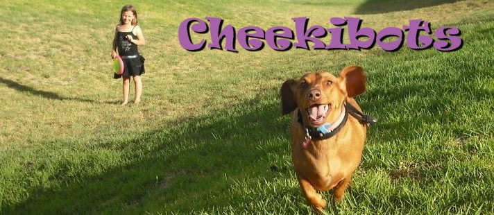 Cheekibots