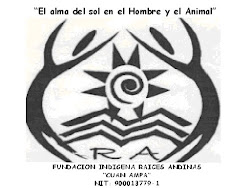 CONOCIENDO "CUAN AMPA"