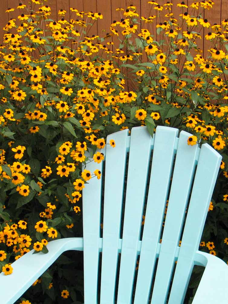 Bloom My Top 10 Favorite Flowers