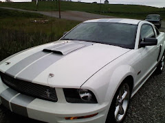 Shelby B. dream car