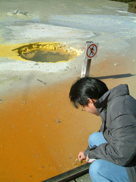 The Volcanic Land of Rotorua