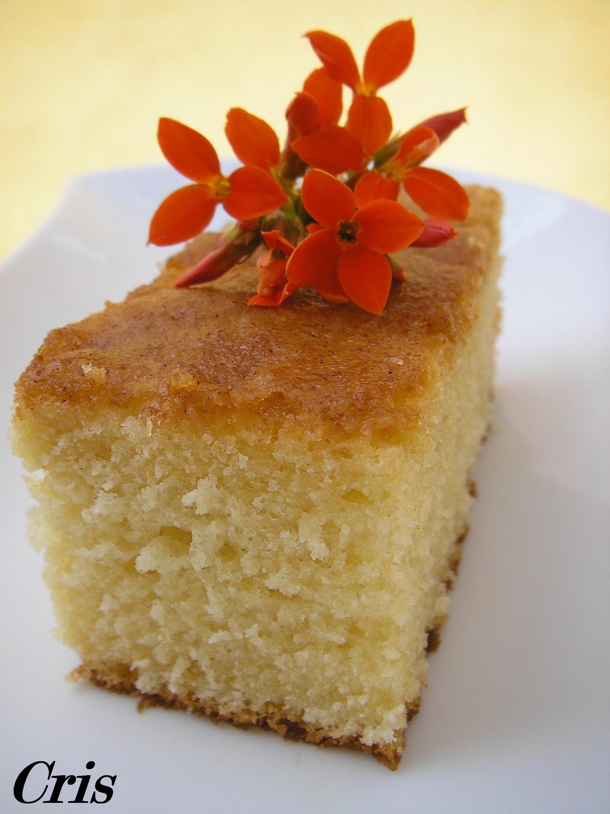 [coca+de+llanda.JPG]