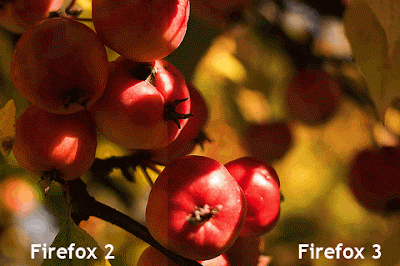 Firefox 3.5 color