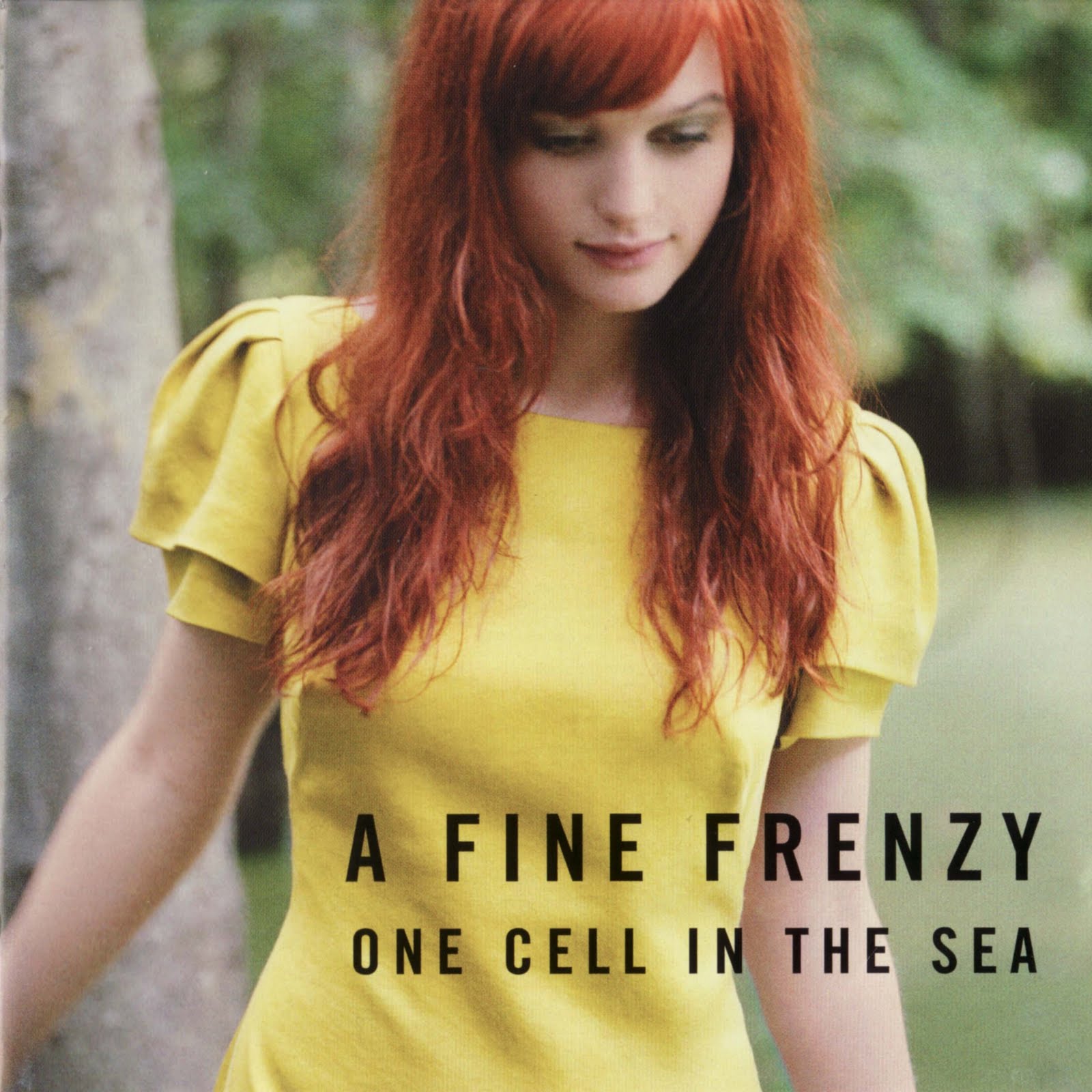 Encartes Pop Encarte A Fine Frenzy One Cell In The Sea