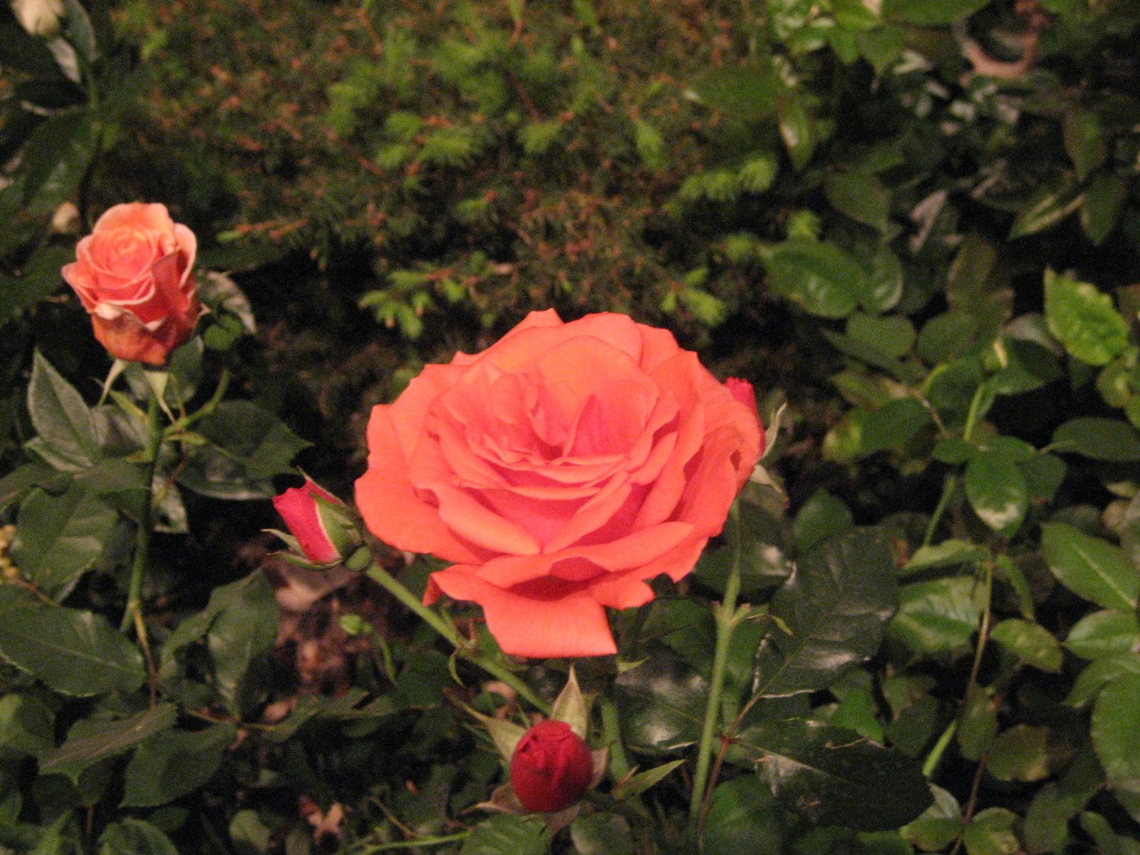 [IMG_5120.JPG]