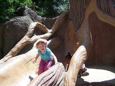 hearst's castle zoo