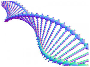 DNA Mutations