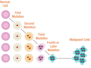 Genetic Cause/Hereditary