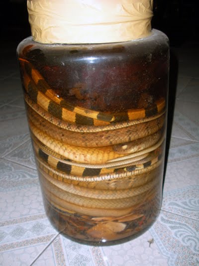 Snake Liquor