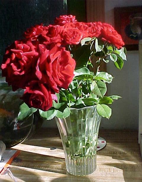 [RedRoses0607a.JPG]