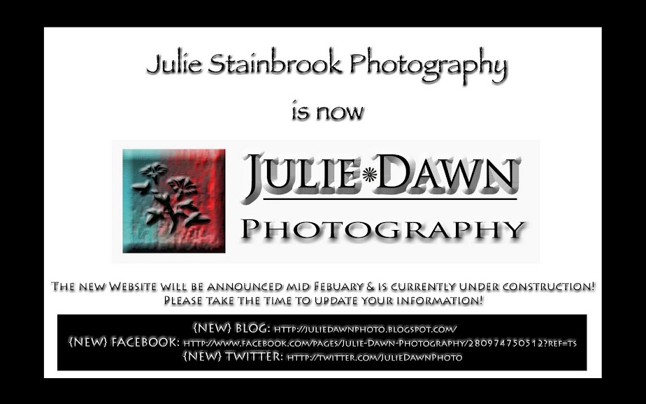 Julie Stainbrook Photography