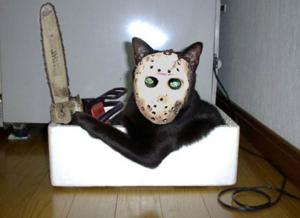 Catsparella: Friday The 13th