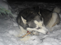 Snow??? I thought I moved south!