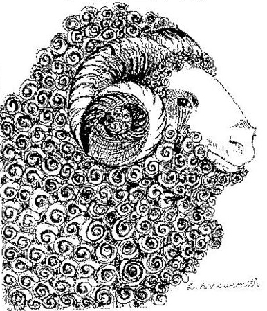 Island Savings Centre