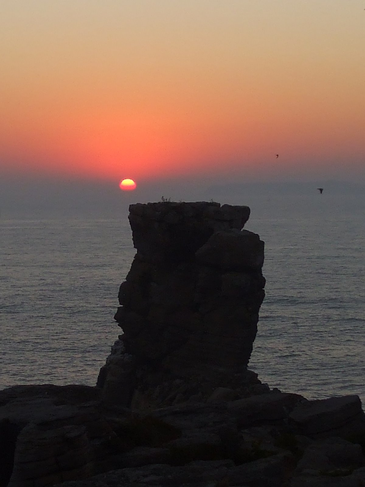 [DSCF1180.JPG]