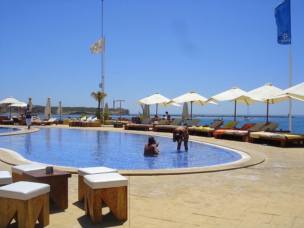 [DSC06803.JPG]