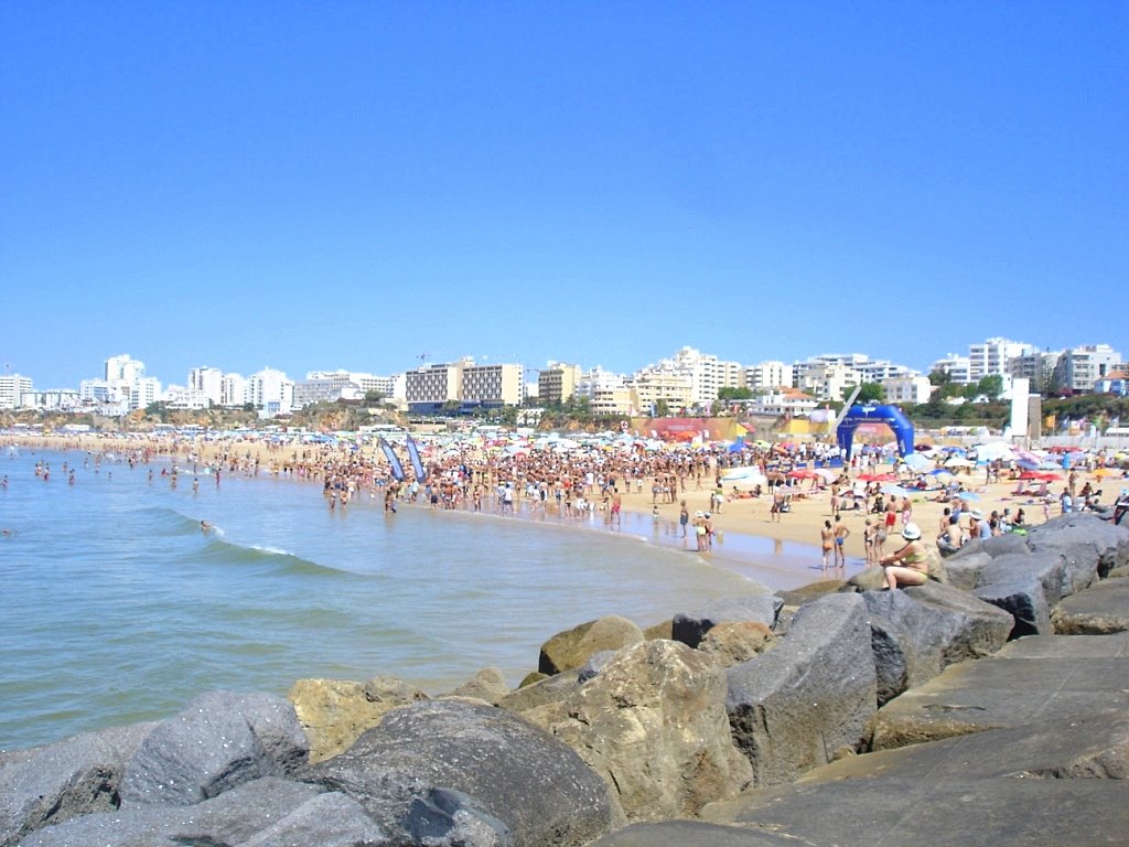 [DSC06787.JPG]