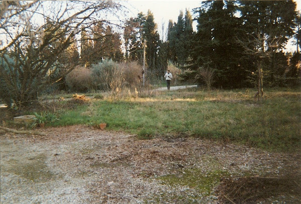 Le Jardin devant le Mas en 1999