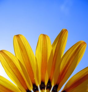 [711618_sunrays_2.jpe]