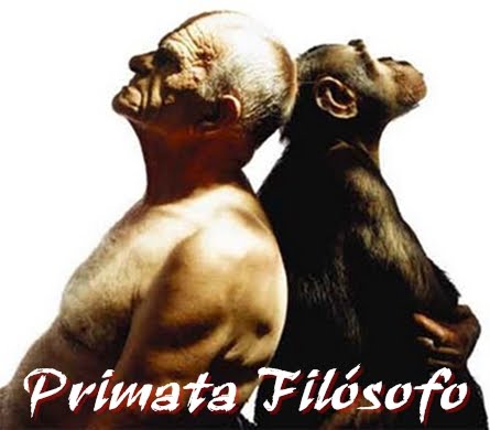 Afinal, evoluímos né?!