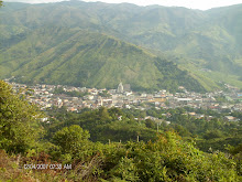 PANORÁMICA DE CISNEROS