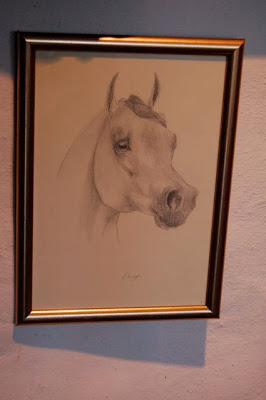 ophelia keys arabian horse head study