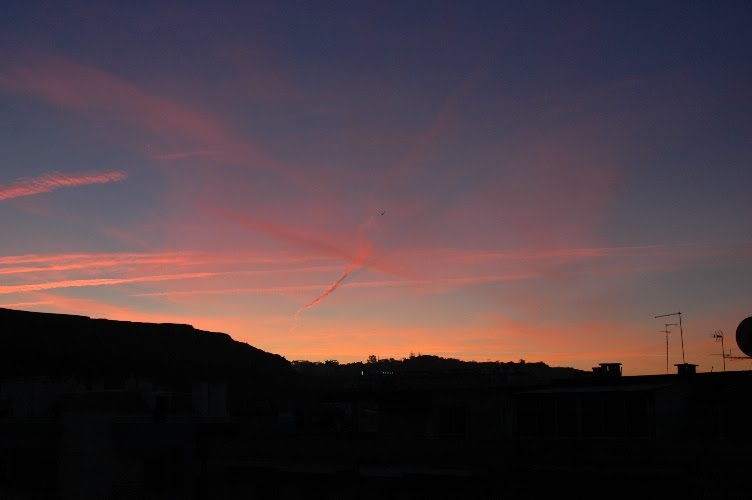 [DSC_0011.JPG]