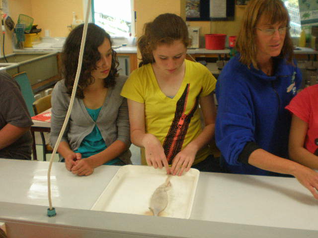 [PC280364.JPG]