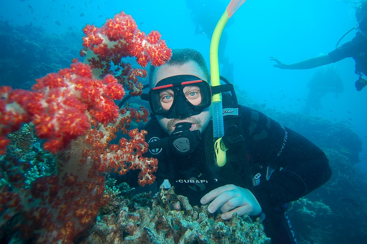 Australian Adventures Diving on the Great Barrier Reef