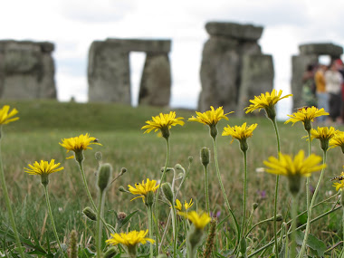 Stonehenge with Dandelions