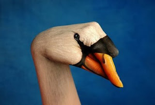 Body Painting Hand Geese
