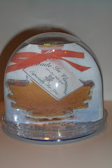 snow globe 39