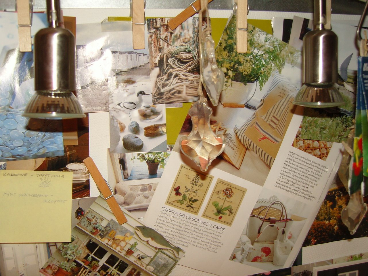 [SNC12169_resize.JPG]