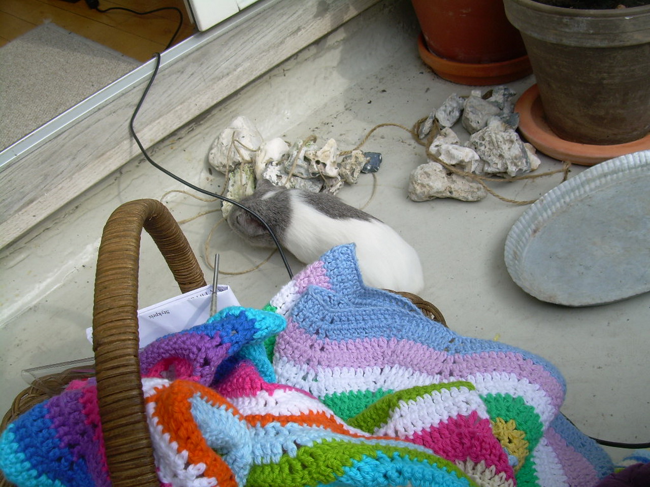 [DSCN4765_resize.JPG]