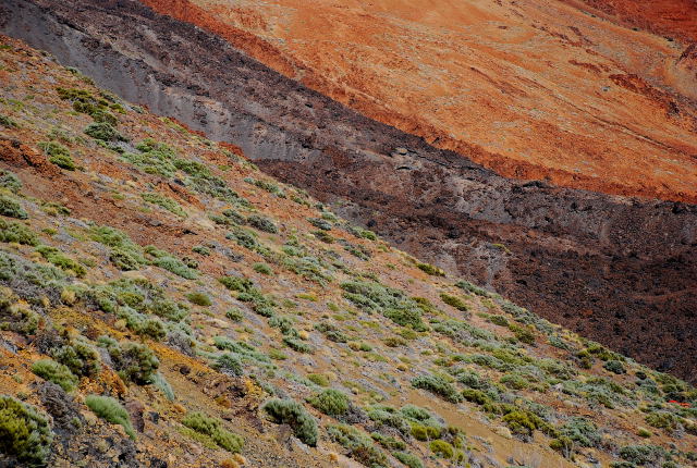 [Teide_2006_MBAraujo.JPG]