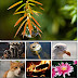 Full HD Mixed Wallpapers Pack 64 by Smpx