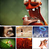 Full HD Mixed Wallpapers Pack 85 by Smpx