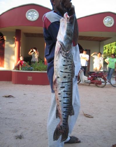 TELECENTRO SAN JUAN B CAIMITO ECOLOGIA CAIMITO