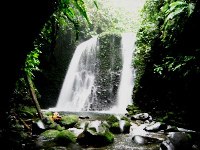 PANORAMIC: MANTLES OF MAGICAL TREATMENT OF BIOTOPO