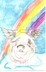 PIG ANGEL SYMPATHY CARDS