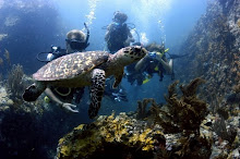 Jost van Dyke Scuba