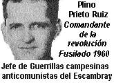 [PLINIOPRIETORUIZ.gif]