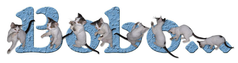 Bobo\