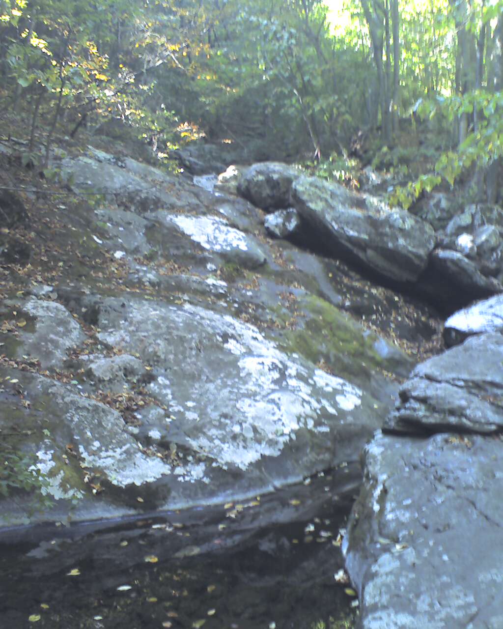 Hawksbill Cabin Rose River Falls An Easy Shenandoah National Park Day Hike