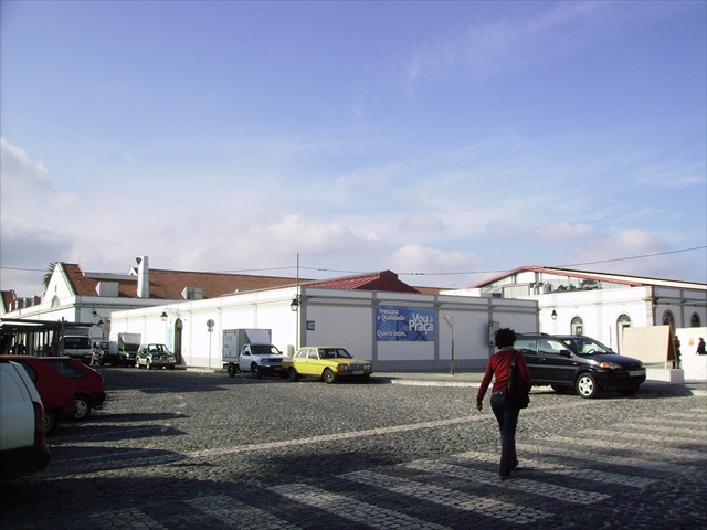 [IMGP0448.JPG]