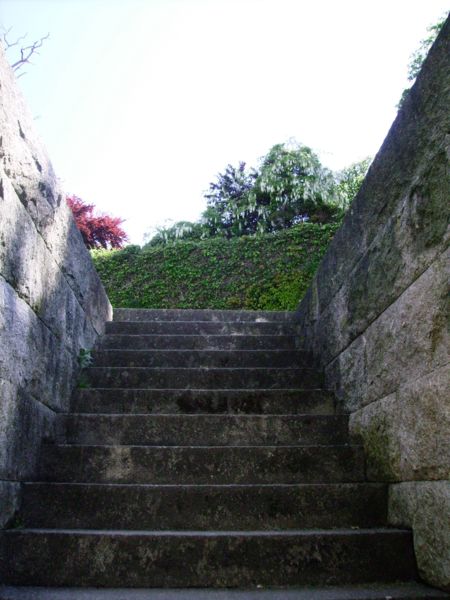 [IMGP4007_450x600.JPG]